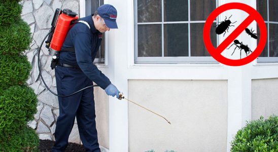 Karesi Hamam Böceği İlaçlama böcek ilaçlama ve haşere kontrolü — ilaclama-tr.com